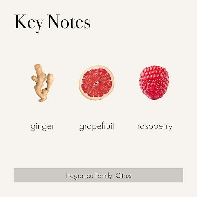 LAFCO New York Classic Reed Diffuser, Champagne - 6 oz, Pack of 2 - Up to 3 Months Fragrance Life - Reusable, Hand Blown Glass Vessel - Natural Wood Reeds - Made in The USA