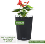 Dexceder 6x7 Self Watering Planter Indoor Outdoor, High Gloss Table Flower Plant Pot with Water Level Indicator (Black)
