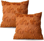 Booque Valley Fall Decorative Pillow Covers Set of 2 Soft Fluffy Faux Fur Wool Pumpkin Throw Pillowcases for Autumn Halloween Farmhouse Home Decor, 18 x 18 inch, Rust