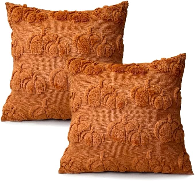 Booque Valley Fall Decorative Pillow Covers Set of 2 Soft Fluffy Faux Fur Wool Rust Pumpkin Throw Pillowcases for Autumn Halloween Farmhouse Home Decor, 20 x 20 inch, Terracotta