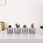 Square Flower Vases Set of 4, 3"x 3"x 3" Glass Vases for Centerpieces, Grey Vase for Flowers, Small Vase for Wedding, Party, Home Office Decoration