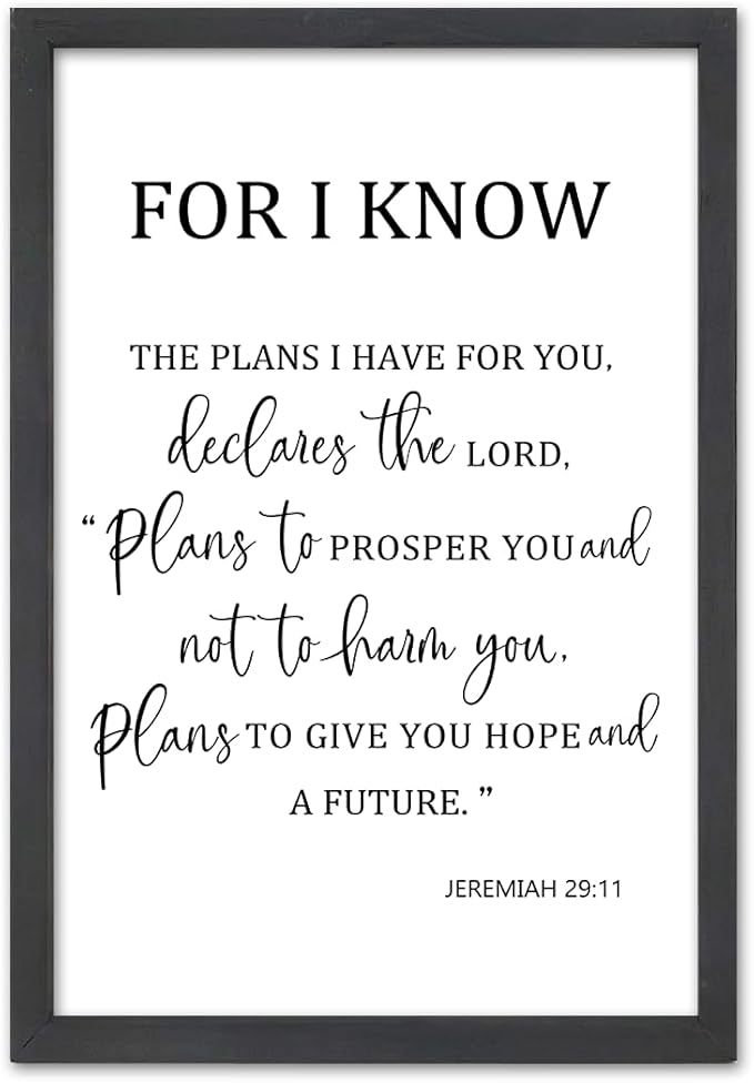 FZMHASLWW For I Know The Plans I Have for You Wall Decor 16"×11" Jeremiah 29 11 Sign Large Wood Framed Wall Hanging Art (Black)