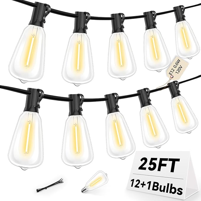 ST38 Outdoor String Lights 25FT with 12+1 LED Bulbs, E12 Socket, Waterproof Commercial Grade, 2700K Warm White for Garden, Backyard, Bistro, Patio, Porch, Deck, Gazebo, Wedding Decor