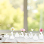 Bud Vases in Bulk Small Glass Clear Vase Set of 8 Different Shape Smooth Surface Vintage Mini Tiny Vases Modern Cute for Flowers Table Wedding Decor Centerpieces Home Party Dining Room