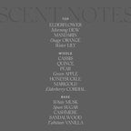 Antica Farmacista Home Ambiance Diffuser,Elderflower,3.4 Fl Oz