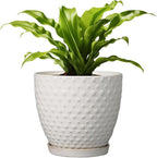 G EPGardening 8 Inch Plant Pot for Indoor Outdoor Plants Round Ceramic Planter Pot with Drainage Hole and Saucer Modern Large Flower Pot White