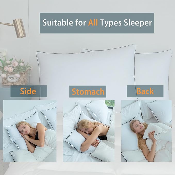 Luxury Hungarian White Goose Down Pillows Queen Size (Pack of 2) - 750 Fill Power - 500 Thread Count 100% Cotton Shell - Soft and Support Down Bed Pillow for Sleeping - Queen (20 x 28”)