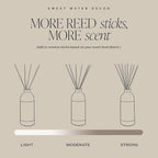 Sweet Water Decor Non-Toxic Cashmere and Vanilla Reed Diffuser Set, Cashmere, Sandalwood, Milky Coconut, Bourbon Vanilla Scented Diffuser for Home, Light Fragrance, Made in The USA, 3.5 FL OZ