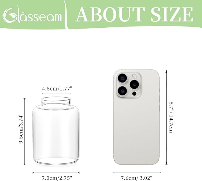 Glasseam Bud vases Set of 6: Glass Vases for Centerpieces Modern Small Vases for Home Table Shelf Wedding Party Decoration - Clear Vase for Flowers Stem Roses Tuilps Cuttings