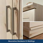 Sauder HomePlus Two Door Storage Cabinet/Pantry Cabinet, Pacific Maple Finish