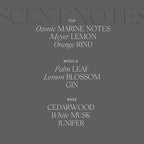 Antica Farmacista Home Ambiance Diffuser, Wave, 10.8 Fl Oz