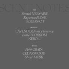 Antica Farmacista Home Ambiance Diffuser, Lavender & Lime Blossom, 16.9 Fl Oz