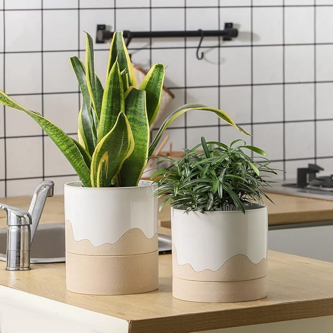 Nihow Ceramic Plant Pot: 6 Inch Planter with Drainage Hole & Saucer for Indoor & Outdoor Plants - Cylinder Round Flower Pot for Succulent/Herbs/Violets - White & Nature