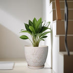 Pots for Plants 10 Inch - Ceramic Planter Large Plant Pot for Indoor Plants Outdoor Round Flower Pot with Drainage Hole and Saucer Home Garden Decor White