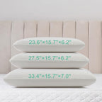 Latex Pillow, 100% Talalay Natural Latex Pillow, Soft Sleeping Bed Pillows with Cotton Cover, Standard Size, Perfect for side/back pain, stomach, neck, stress relief