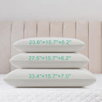 Latex Pillow, 100% Talalay Natural Latex Pillow, Soft Sleeping Bed Pillows with Cotton Cover, Queen Size, Perfect for Side/Back Pain, Stomach, Neck, Stress Relief