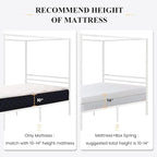 SHA CERLIN Metal Canopy Bed Frame Queen Size/Mattress Foundation with Metal Slats Support/No Box Spring Needed/Easy Assembly/White