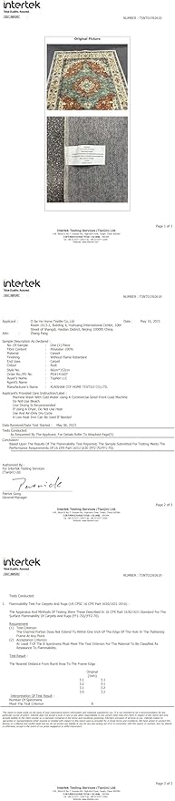 Topllen Washable Area Rug - Area Rug 6'x9' Boho Soft Living Room Rug, Non-Slip Large Area Rugs Indoor for Dining Room Livingroom Bedroom, Vintage Rug (Rust, 6x9ft)