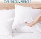 SILUI Extra Flat Thin Soft Pillows Queen Size Set of 2 Pack Bed Pillow Down Alternative Fill for Side Back Stomach Sleepers, White, 20x30 Inches