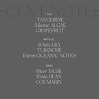 Antica Farmacista Home Ambiance Diffuser, Acqua, 16.9 Fl Oz