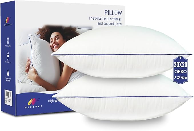 20x20 Pillow Inserts Set of 2, Machine Washable Soft Fluffy Hypoallergenic Virgin Polyester Premium Throw Pillow Stuffer, Decorative Cushion for Bed, Couch, Sofa,Indoor - White