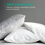 APSMILE Organic 20x20 Feather Down Throw Pillow Inserts Set of 2, 100% Cotton Fabric, Soft Fluffy Square Decorative Pillow Form Core for Sofa, Bed, Couch, Cushion Sham Stuffer