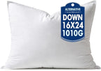 MIULEE 16x24 Down Alternative Pillow Insert Decorative Throw Pillow 16 x 24 Inch Body Bed Sleeping Ultra Soft Fluffy Form for Sofa Couch Bed