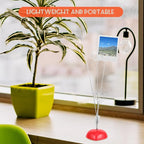 Tinksky Picture Stand-4 Clip Heart Photo Holder Card Note Memo Clip Tree Place Cards Holder