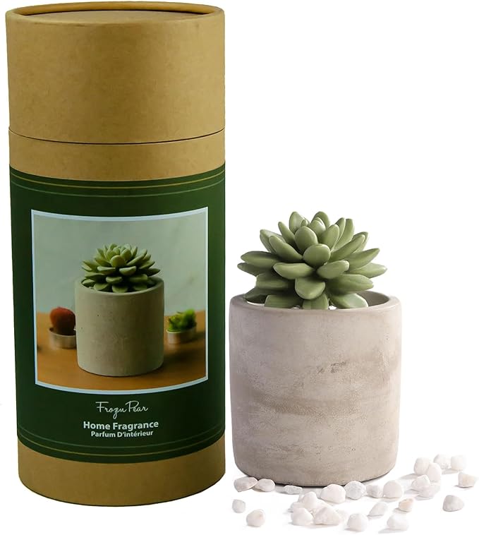 Reed Diffuser Set, Pretty Valley Home Succulent Gypsum Ceramic Fragrance Diffuser Vase Set - Frozen Pear 3.38 fl oz (100 ml), Home Fragrance Reed Diffuser for Bathroom Office Living Room Decor
