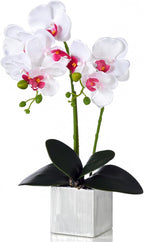 Artificial Potted Orchid Faux Phalaenopsis Silk Flowers Bonsai Realistic Arrangement in Silver Vase for Home Decoration Table Centerpiece, White