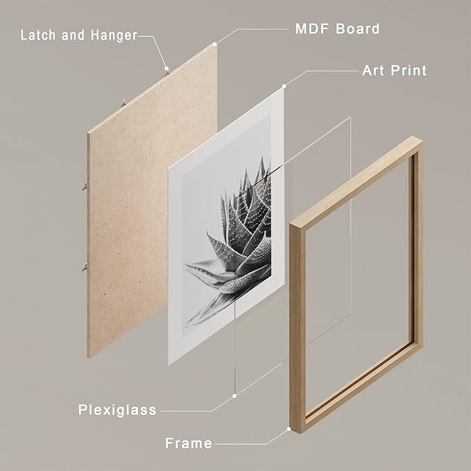 SIGNWIN Framed Black White Snake Plant Agave Cactus Succulent Wall Art, Set of 4 Floral Botanical Wall Decor Prints, Nature Wilderness Wall Décor for Living Room, Bedroom - 8"x10" Natural