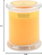 Archipelago Botanicals Lanai Glass Jar Candle, Pineapple, Mandarin and Ginger Scent, Lead-Free Candle Wicks, Burns Approx. 60 Hours (8.6 oz)