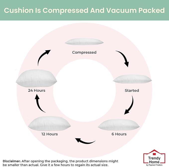 Trendy Home 16x16 Throw Pillow Insert (Set of 2, White) Bed and Couch Pillows Stuffer Hypoallergenic, Decorative Home Outdoor Sofa Pillow Filler (Machine Wash, 2 Pack)