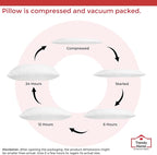 Trendy Home 12x18 Throw Pillow Insert (Pack of 2, White), Bed and Couch Pillows Stuffer Hypoallergenic, Lumbar Support Decorative Home Outdoor Pillow Filler (Non Woven, 2 Pack)