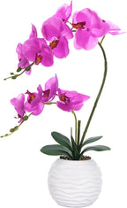 Artificial Potted Orchid Faux Phalaenopsis Silk Flowers Bonsai Realistic Arrangement in Ceramic Vase for Home Decoration Table Centerpiece, Fuchsia
