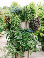 Greenstalk Patented Large 5 Tier Vertical Garden Planter with Patented Internal Watering System Great for Growing a Variety of Strawberries, Vegetables, Herbs, & Flowers (Stunning Stone)