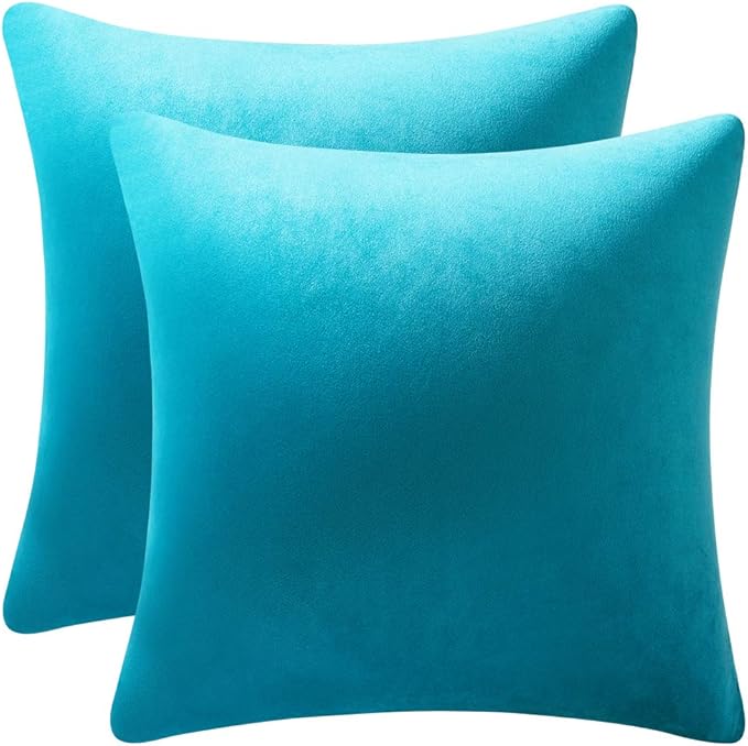 Throw Pillow Cases 22x22 Turquoise: 2 Pack Cozy Soft Velvet Square Decorative Pillow Covers for Farmhouse Home Decor