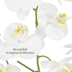 CG Hunter Faux White Orchid Plant, Premium Artificial Indoor Flower Display Stands 23”, Beautiful Sculptural Blooms That Lasts Forever, White Planter Pot Included