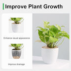 5 lbs Coarse Silica Sand for Indoor Plants, 1/5 Inch Natural Decorative Gravel for Vases, Aquariums, Terrarium, Fish Tank, Drainage Rocks for Potted Plants, Bamboo, Succulent, Crafts, Cactus