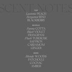 Antica Farmacista Room Spray - Liquid Velvet, 3.4 Fl Oz (Pack of 1)