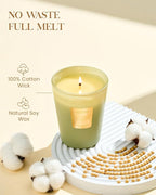 M&SENSE Eucalyptus Cedarwood Scented Natural Soy Wax Candle, 14.1oz 60 Hours Long Lasting Slow Burning Candles for Home Decor, Aromatherapy Candle for Stress Relief