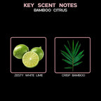 LOVSPA Reed Diffuser Set, Bamboo Citrus Scented Oil Diffuser with Sticks, Home Fragrance Accessories for Bathroom Shelf Decor, Aroma Diffusers for Home or Office Desk, USA Made