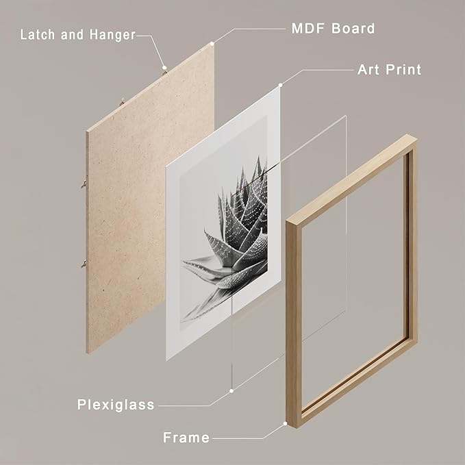 SIGNWIN Framed Black White Snake Plant Agave Cactus Succulent Wall Art, Set of 4 Floral Botanical Wall Decor Prints, Nature Wilderness Wall Décor for Living Room, Bedroom - 12"x16" Natural