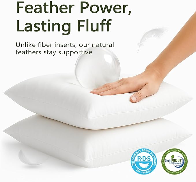 DWR Set of 2 Feather Down Throw Pillow Inserts 20x20 with Organic Cotton Cover, Feather Square White Decorative Pillow Inserts for Bed, Sofa, and Couch