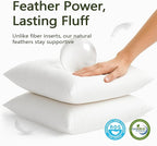 DWR Set of 2 Feather Down Throw Pillow Inserts 20x20 with Organic Cotton Cover, Feather Square White Decorative Pillow Inserts for Bed, Sofa, and Couch