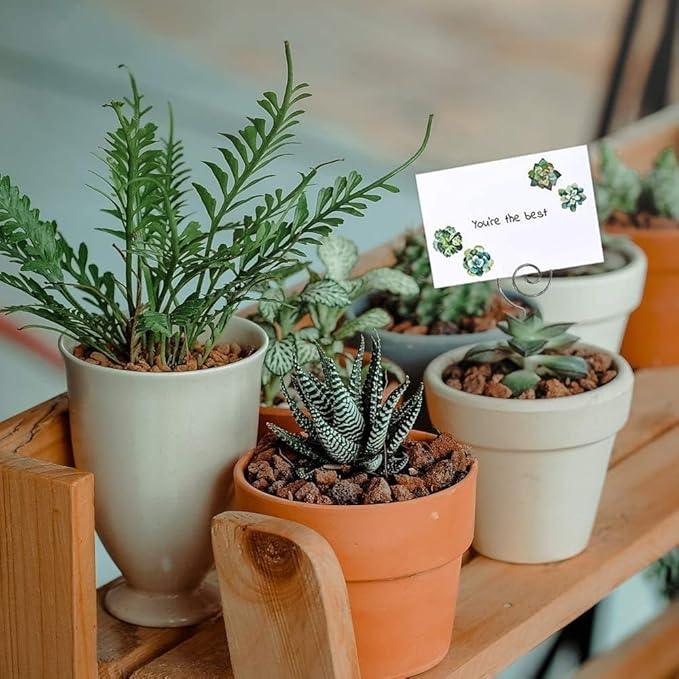 HOHIYA 50pc Floral Card Holder Pick Stick Wire Clip Photo Picture Centperieces Memo Note Clamp Clay Cake Accessories Silver 5 Inch