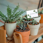 HOHIYA 50pc Floral Card Holder Pick Stick Wire Clip Photo Picture Centperieces Memo Note Clamp Clay Cake Accessories Silver 5 Inch