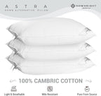 Downright 233 Thread Count 44 oz Astra LikeDown Pillow, 20" x 36", King 20 x 36