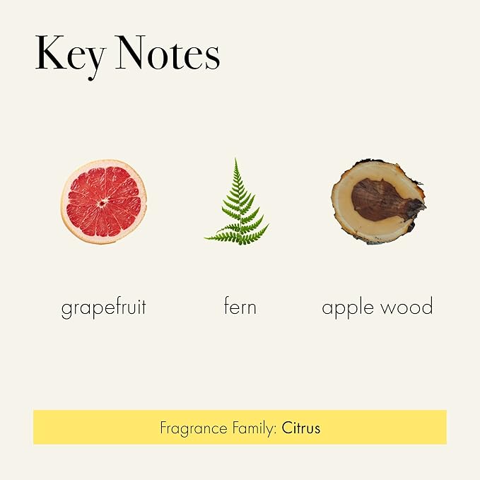 LAFCO New York Classic Reed Diffuser, White Grapefruit - 6 oz - Up to 3 Months Fragrance Life - Reusable Glass Vessel - Natural Wood Reeds - Made in The USA