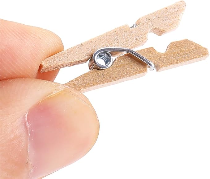 DECORA Sturdy 1 Inch Mini Wooden Craft Clothespins 100pcs